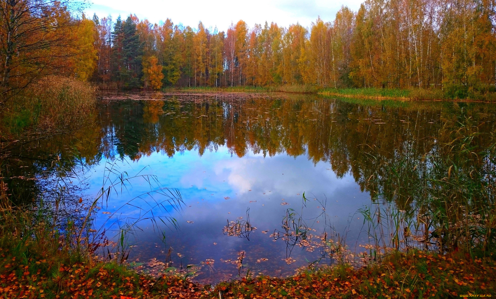 Озеро Лесное Омск